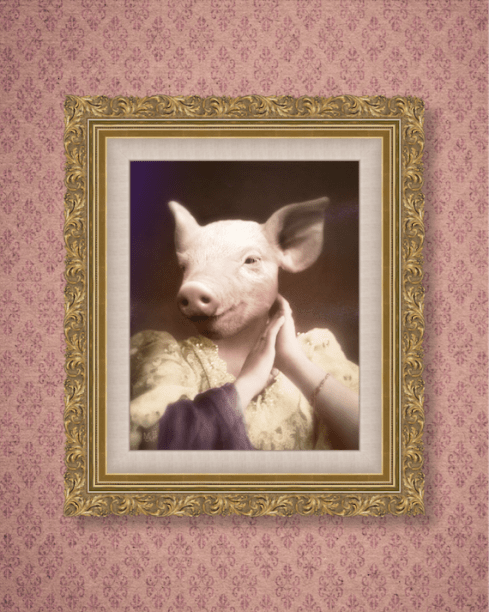 pig lovely wall copy