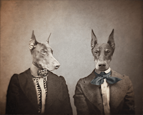 The Doberman Sisters MRM created 3-25-15