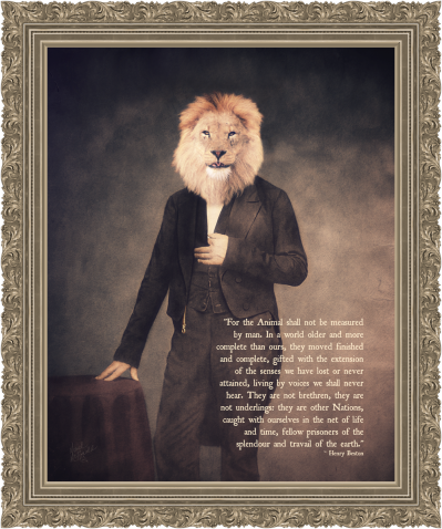 lion guy copy2b pixlr quote frame